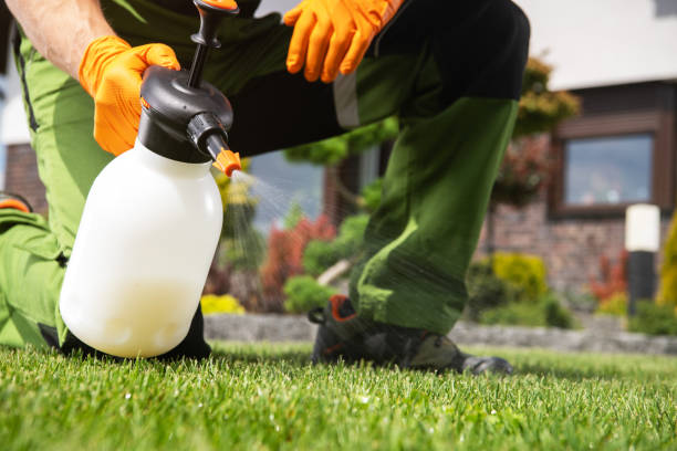 Best Affordable Pest Control Services  in Walkertown, NC